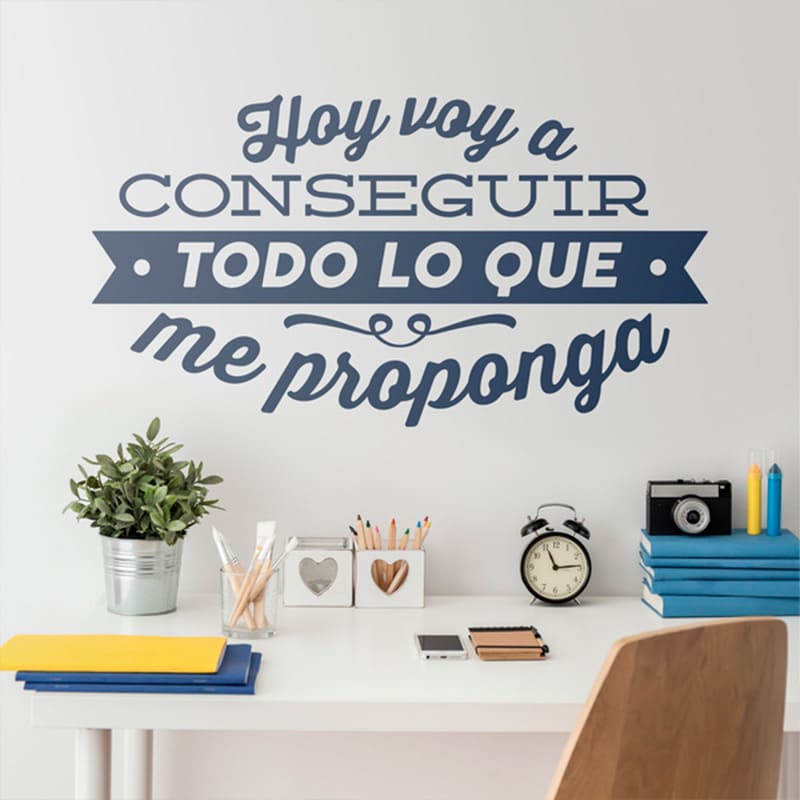 DV Pizzarron de vinil